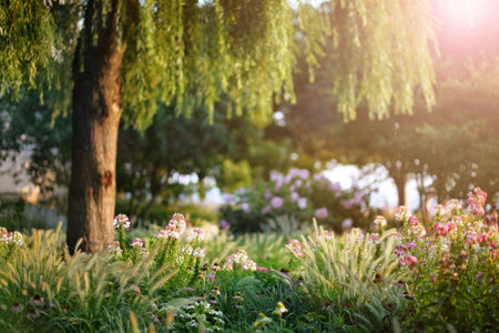 Beautiful summer garden with flowering plants close-upの写真素材