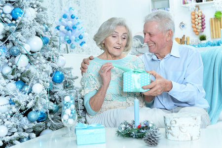 Happy senior couple preparing for Christmas at homeの写真素材