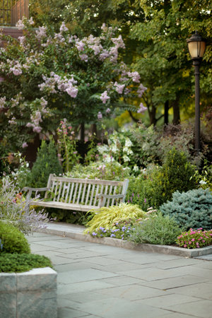 Bench in beautiful green park, in summerの写真素材