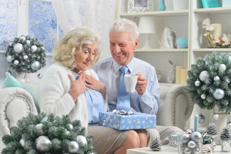 Senior couple with gift with Christmas decorations on backgroundの写真素材