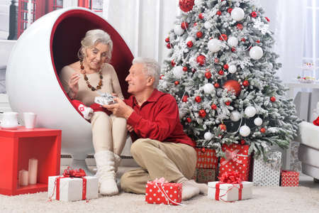 Senior couple with gift with Christmas decorations on backgroundの写真素材