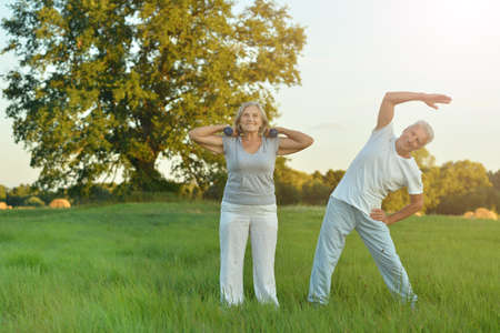 Portrait of fit senior couple exercising in parkの写真素材