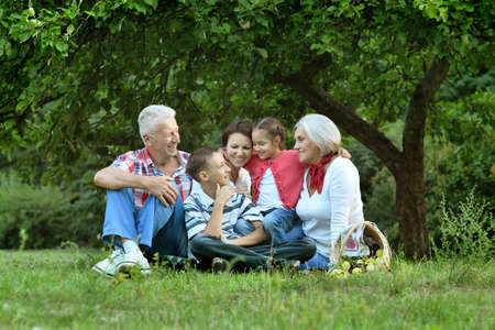 Happy senior couple sitting on grass in park