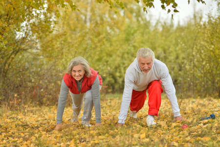 Portrait of fit senior couple exercising in parkの写真素材
