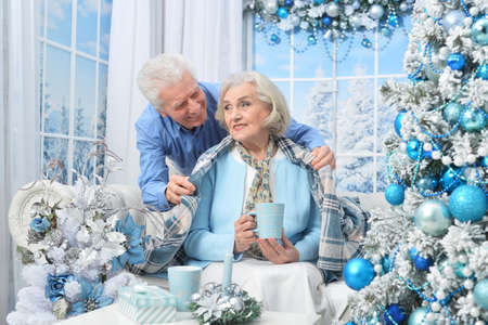 Portrait of amusing couple at home on Christmasの写真素材