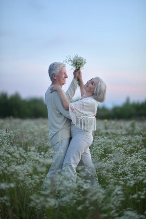 Portrait of happy beautiful senior couple dancing in summer parkの写真素材