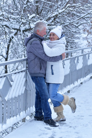 An elderly couple walks in a winter parkの写真素材