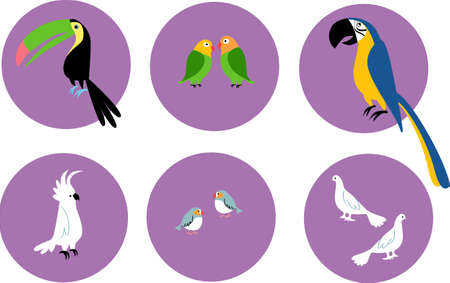 Set of pet exotic birds icons on circles, EPS 8 vector illustrationのイラスト素材