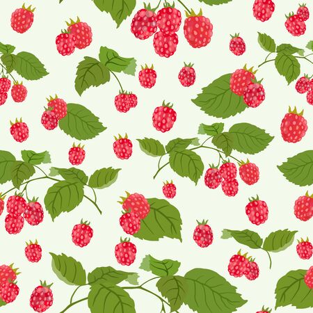Seamless pattern with juicy raspberry. Vector illustration.のイラスト素材