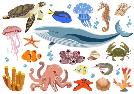 Set of marine and oceanic fauna inhabitants. Vector illustration.のイラスト素材