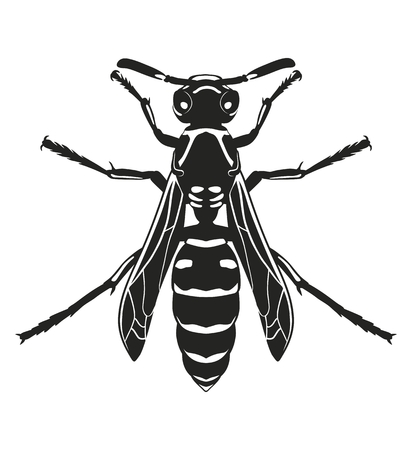 Vector silhouette wasp, isolated on white background. Flying insects. Template.のイラスト素材