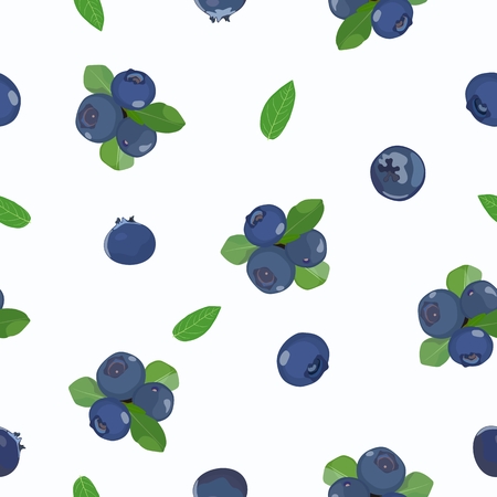 Vector pattern with berries and blueberries on a white background.の写真素材