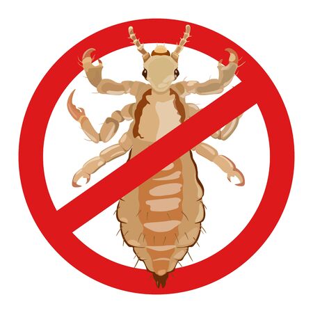 Warning stop sign with colorful detailed picture of louse inside red sign on white background. Fight insect parasites.のイラスト素材