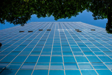 Modern corporate building with blue glass windows view from under a treeの写真素材