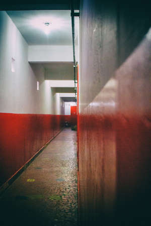 In abandoned building now occupied by social housing movement some floors were painted. In this corridor, each wood door is home for a family of the social movement. San Paolo, Brazil, South America.の写真素材
