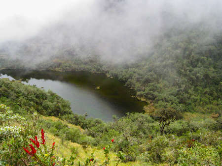 Beautiful chill wallpaper image of red flower in the jungle with a lake on the background and clouds covering the mountains. Peru. No people.の写真素材