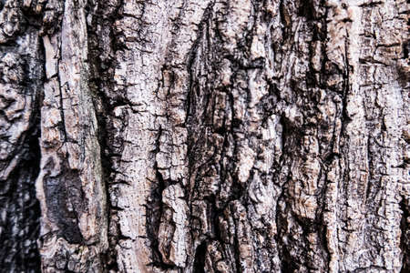 Texture of a wall in the city. World. Perfect wallpaper background. No people.の写真素材