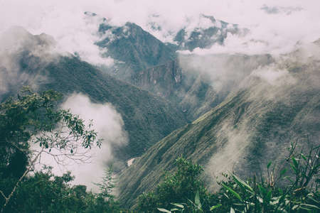Clouds and mist covering the Andes mountains viiewed from behind a tree on the Inca Trail to Machu...