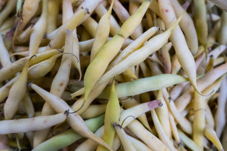 City market stall with fresh white beans. Rome. Europe. No people.の写真素材