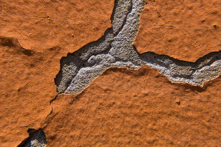 Worn old rough concrete wall with orange peeling paint. Beautiful grunge wallpaper background texture. No people.の写真素材