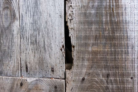 Detail of a wall made of pinned old wood planks with a crack. Perfect wallpaper background image. No...