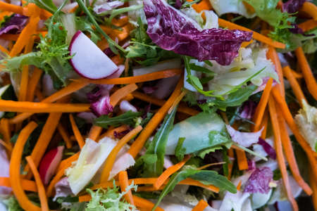 Mixed salad detail with carrots, rocket salad, radish, chicory and lettuce. No people. Rome, Italy, Europe.の写真素材