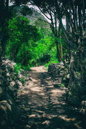Ancient Inca Trail paved path to the lost city of Machu Picchu. Peru. South America. No peopleの写真素材