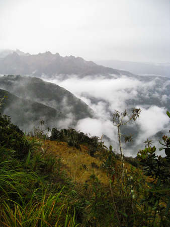 Vertical image of the Andes mountains with clouds covering the valley. Inca Trail. Peru. South...