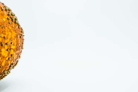 Holidays wallpaper background of colorful Christmas decorations isolated on white background.の写真素材