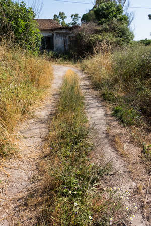 Abandoned house facade detail with wild nature on the surroundings with blue sky background. No people.の写真素材