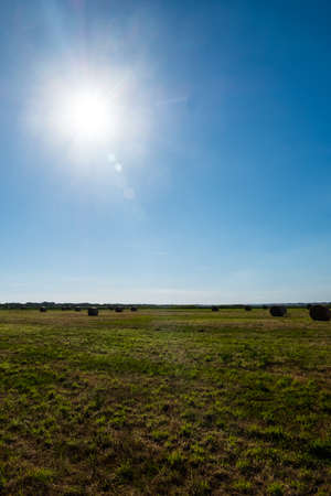 Vertical landscape of a green field with hay rolls with a bright sun in blue sky. Beautiful wallpaper.の写真素材