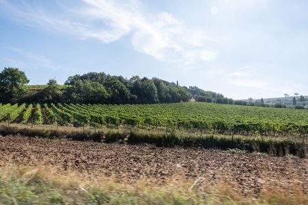 Beautiful view of Tuscany landscape and landmarks. Summer in Italyの写真素材