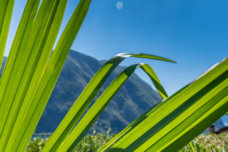 Lugano. Switzerland. Canton Ticinoの写真素材