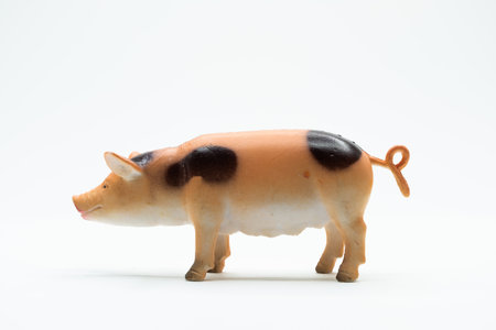 Side view of a pig toy on white backgroundの写真素材