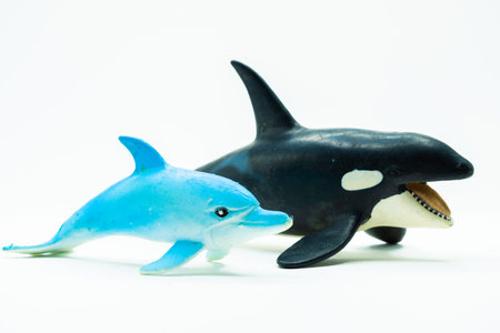 Dolphins and Orcs Toys on white backgroundの写真素材