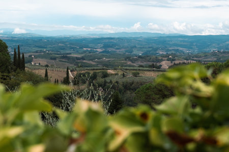 Beautiful view of Tuscany fields from behind a treeの写真素材