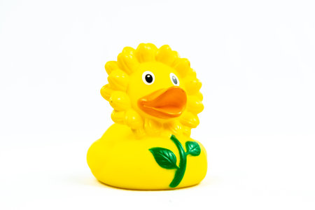 Funny Yellow sunflower Duck Floating Toy on whiteの写真素材