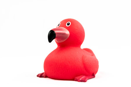 Pink flamingo with black spout Duck Floating Toyの写真素材