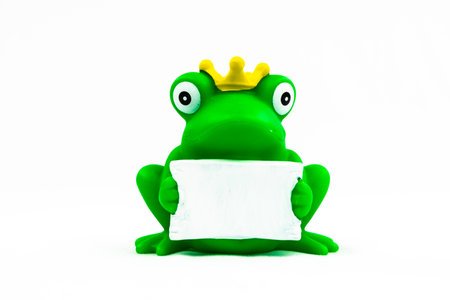 Funny green frog with white card Duck Floating Toyの写真素材