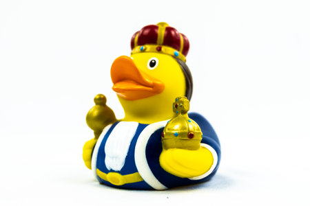 Kind with golden crown and objects Duck Floating Toyの写真素材