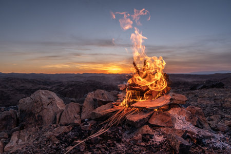 Burning wood at dawn. Atlas Mountains on the background