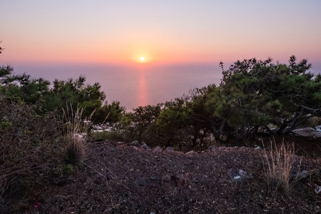 The sunrise over the sea seen from behind the barren bushes of the vegetation of the island of santoriniの写真素材