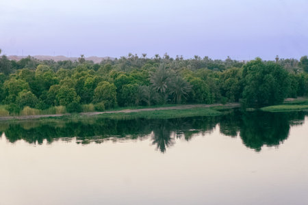 Nile River Majesty: Scenic Views from the Cruise Ship Egypt Summer Travelの写真素材