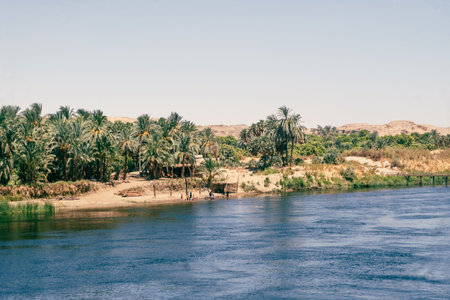 Majestic Nile Shoreline: Forest from the Cruise Ship. Egypt Summer Travelの写真素材