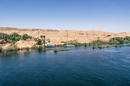 Majestic Nile Shoreline: Forest from the Cruise Ship. Egypt Summer Travelの写真素材