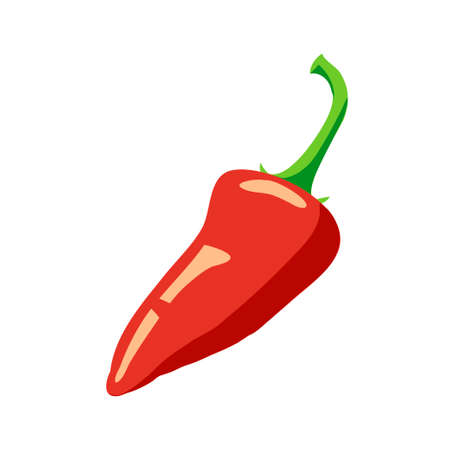 Hot red chili pepper isolated on white background vector illustrationのイラスト素材
