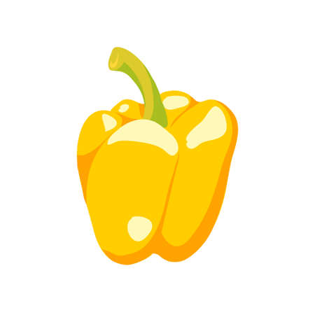 Yellow paprika isolated on white vector illustrationのイラスト素材