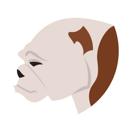 Pedigree dog head bulldog flat. Young adorable animal, vector illustrationのイラスト素材