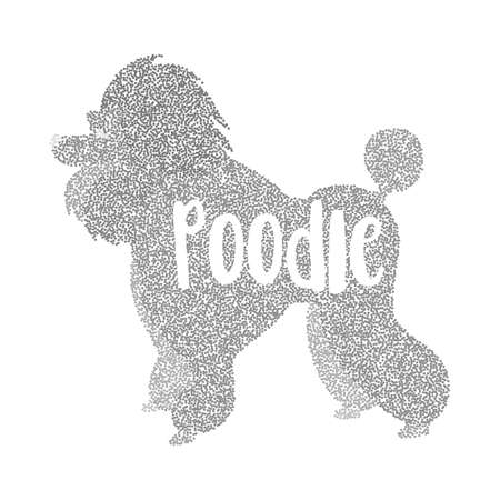 Form of round particles poodle dog flat. Dog puppy breed and friend pet for people. Vector illustrationのイラスト素材