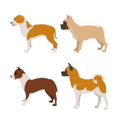 Collection of purebred dogs french pittbull and  terrier,のイラスト素材